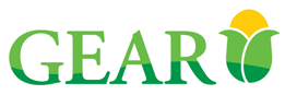 Gear